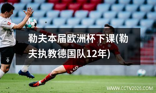勒夫本届欧洲杯下课(勒夫执教德国队12年)