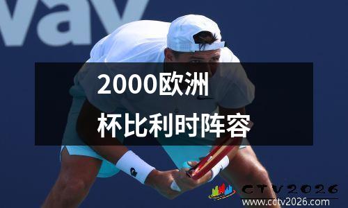 2000欧洲杯比利时阵容