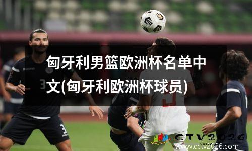 匈牙利男篮欧洲杯名单中文(匈牙利欧洲杯球员)