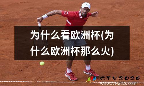 为什么看欧洲杯(为什么欧洲杯那么火)