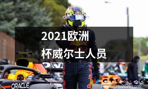 2021欧洲杯威尔士人员