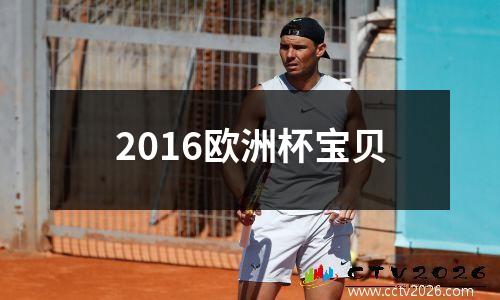 2016欧洲杯宝贝