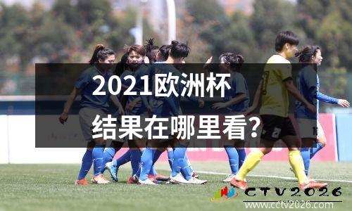 2021欧洲杯结果在哪里看？