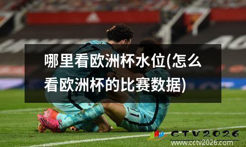 哪里看欧洲杯水位(怎么看欧洲杯的比赛数据)