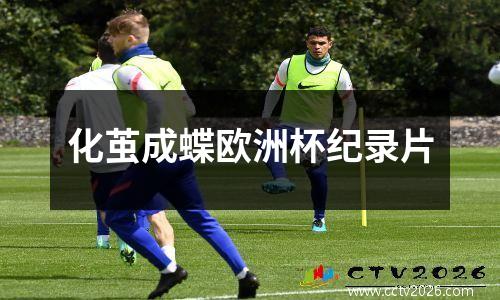 化茧成蝶欧洲杯纪录片
