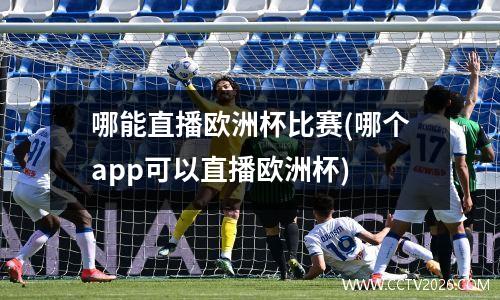 哪能直播欧洲杯比赛(哪个app可以直播欧洲杯)