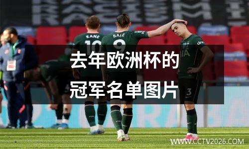 去年欧洲杯的冠军名单图片