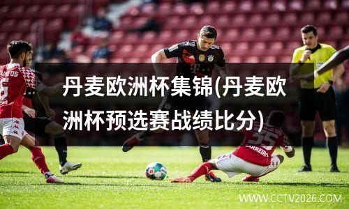 丹麦欧洲杯集锦(丹麦欧洲杯预选赛战绩比分)