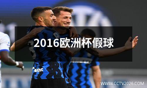 2016欧洲杯假球