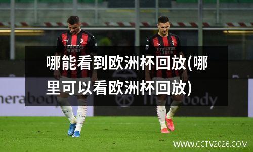 哪能看到欧洲杯回放(哪里可以看欧洲杯回放)