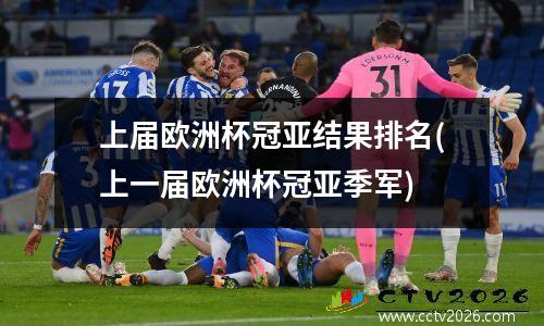 上届欧洲杯冠亚结果排名(上一届欧洲杯冠亚季军)