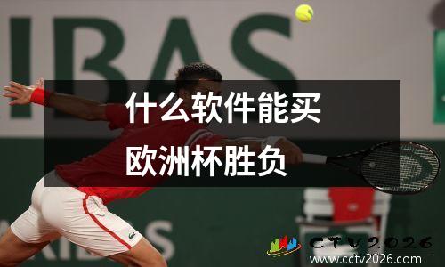 什么软件能买欧洲杯胜负