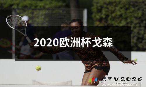 2020欧洲杯戈森