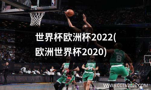 世界杯欧洲杯2022(欧洲世界杯2020)