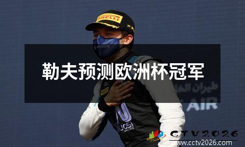 勒夫预测欧洲杯冠军