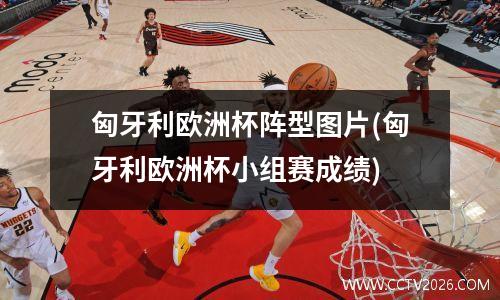 匈牙利欧洲杯阵型图片(匈牙利欧洲杯小组赛成绩)