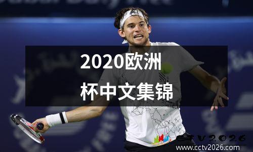 2020欧洲杯中文集锦