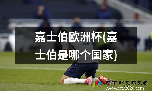 嘉士伯欧洲杯(嘉士伯是哪个国家)