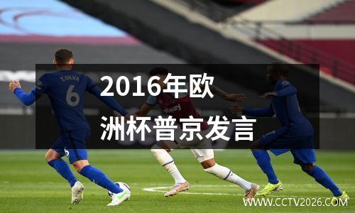 2016年欧洲杯普京发言