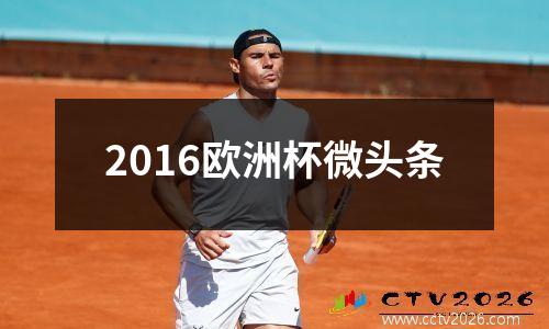 2016欧洲杯微头条
