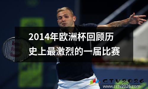 2014年欧洲杯回顾历史上最激烈的一届比赛