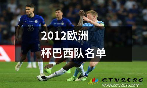 2012欧洲杯巴西队名单