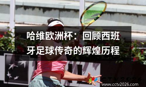 哈维欧洲杯：回顾西班牙足球传奇的辉煌历程