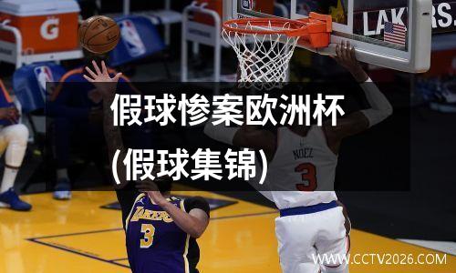 假球惨案欧洲杯(假球集锦)