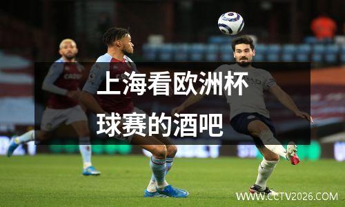 上海看欧洲杯球赛的酒吧