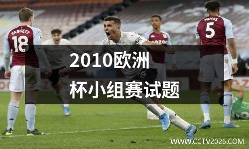 2010欧洲杯小组赛试题