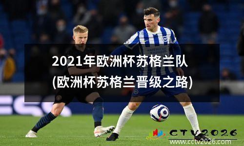 2021年欧洲杯苏格兰队(欧洲杯苏格兰晋级之路)