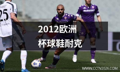 2012欧洲杯球鞋耐克