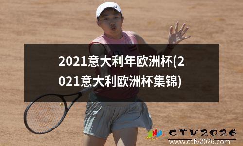 2021意大利年欧洲杯(2021意大利欧洲杯集锦)