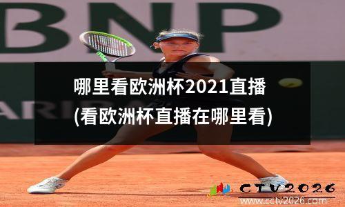 哪里看欧洲杯2021直播(看欧洲杯直播在哪里看)