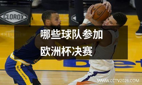 哪些球队参加欧洲杯决赛