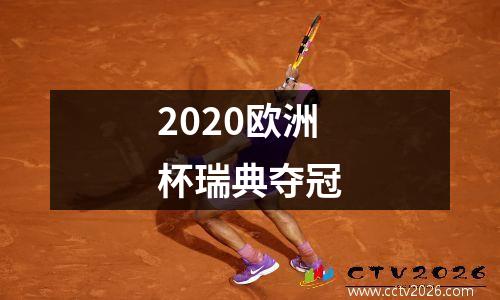2020欧洲杯瑞典夺冠