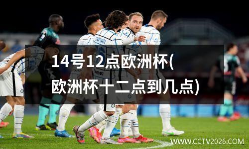 14号12点欧洲杯(欧洲杯十二点到几点)
