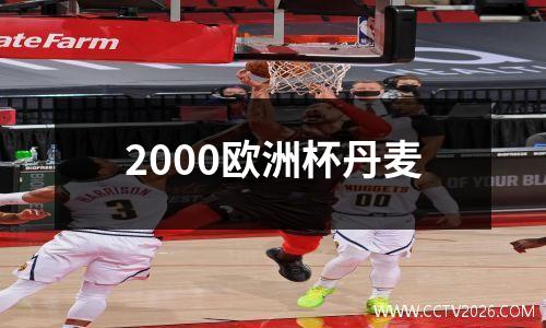 2000欧洲杯丹麦