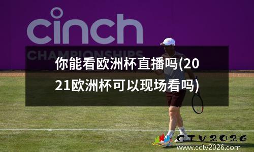 你能看欧洲杯直播吗(2021欧洲杯可以现场看吗)