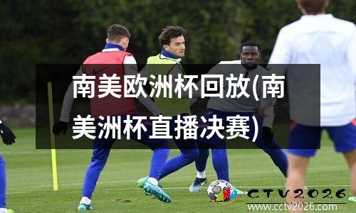 南美欧洲杯回放(南美洲杯直播决赛)
