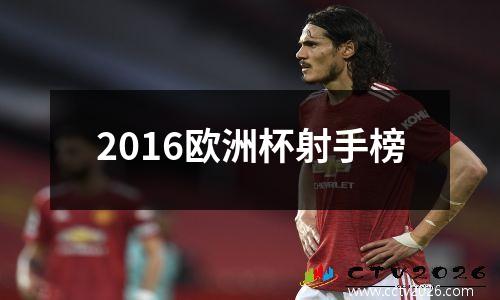 2016欧洲杯射手榜