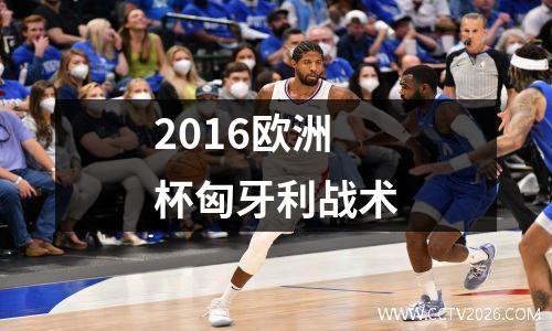 2016欧洲杯匈牙利战术