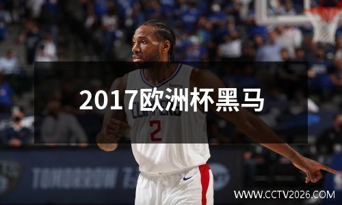 2017欧洲杯黑马