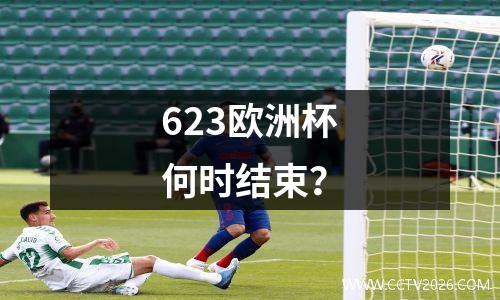 623欧洲杯何时结束？