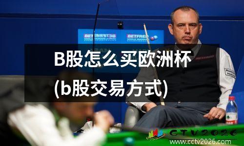 B股怎么买欧洲杯(b股交易方式)