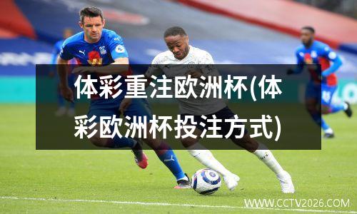 体彩重注欧洲杯(体彩欧洲杯投注方式)