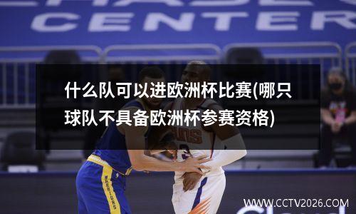 什么队可以进欧洲杯比赛(哪只球队不具备欧洲杯参赛资格)