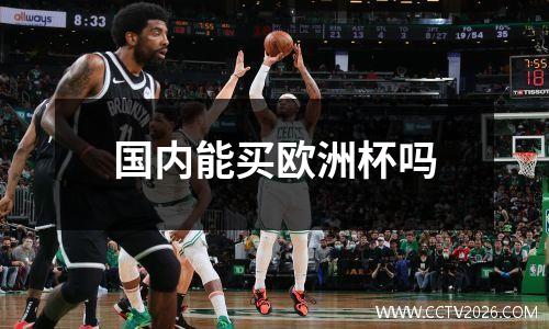 国内能买欧洲杯吗