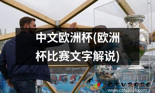 中文欧洲杯(欧洲杯比赛文字解说)