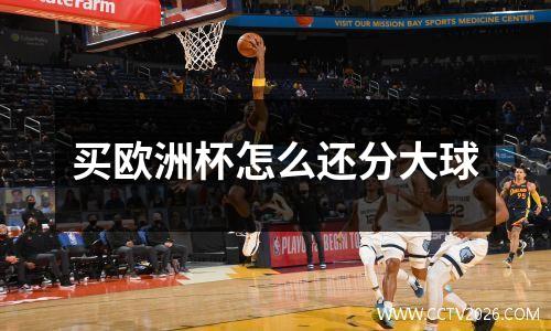 买欧洲杯怎么还分大球